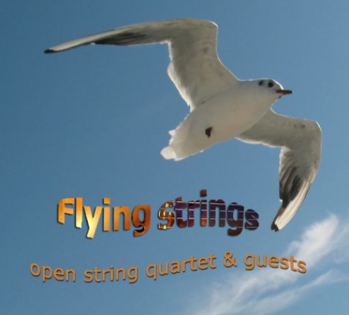 open string quartet & guests - flying strings